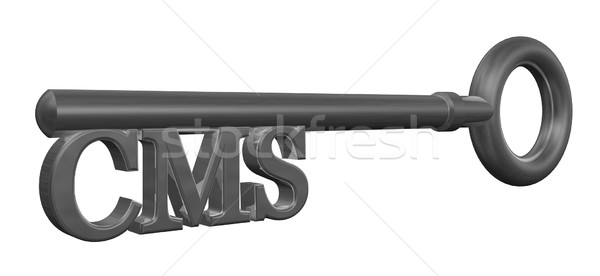 Stock photo: cms key