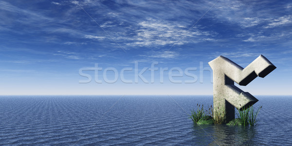 rune Stock photo © drizzd
