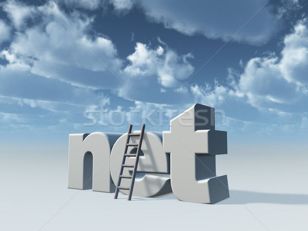 Net domein ladder bewolkt hemel 3d illustration Stockfoto © drizzd