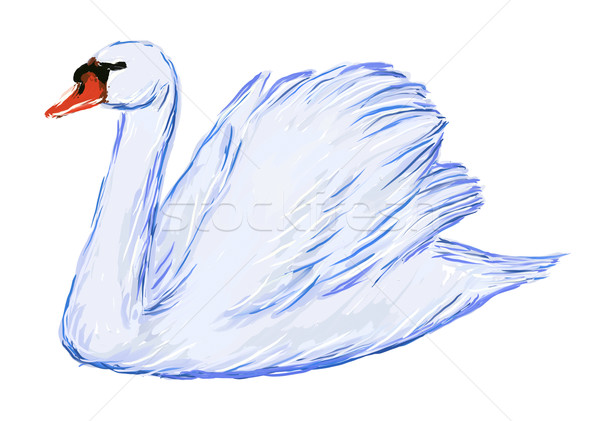 Cygne main peint blanche nature beauté [[stock_photo]] © drizzd