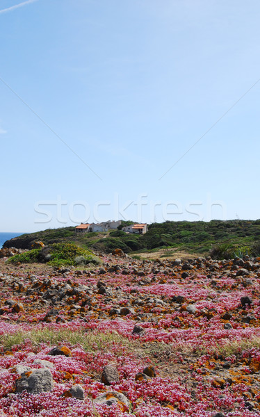 Sant'Antioco, Sardinia Stock photo © Dserra1