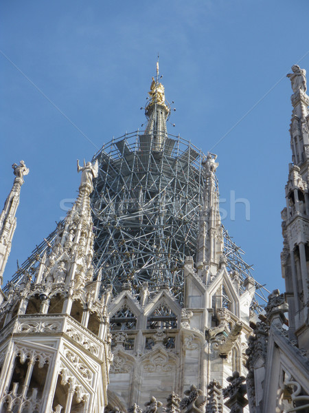 Milan cattedrale gotica nella piazza del duomo Stock photo © Dserra1