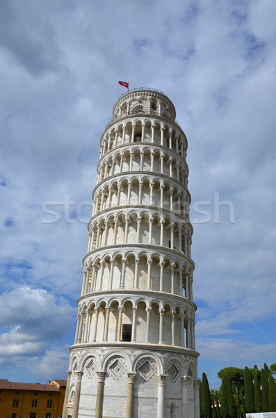 Leaning Tower of Pisa Stock photo © Dserra1