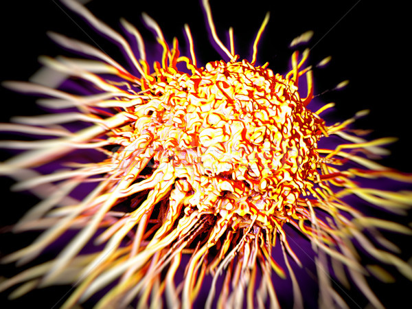 cancer cell with high details Stock photo © DTKUTOO
