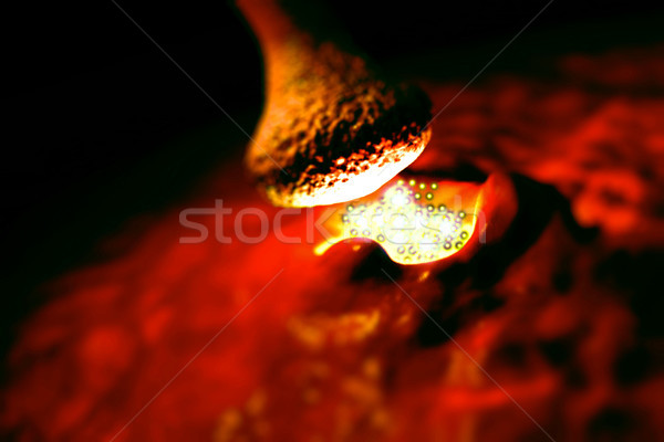 Kép szinapszis tájkép test agy kommunikáció Stock fotó © DTKUTOO