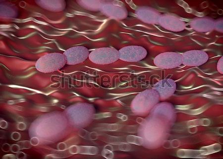 Red blood cells Stock photo © DTKUTOO