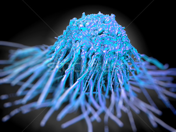 Krebs Zelle groß Details Körper Gesundheit Stock foto © DTKUTOO
