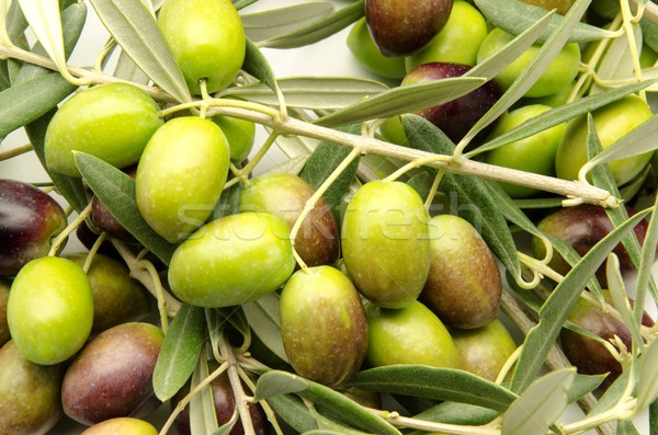 olives Stock photo © dulsita