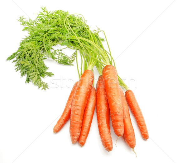 Morcovi buchet morcov floare textură alimente Imagine de stoc © dulsita