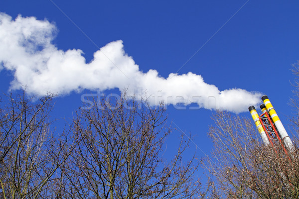 Chaminé fumar blue sky árvores primeiro plano fábrica Foto stock © duoduo