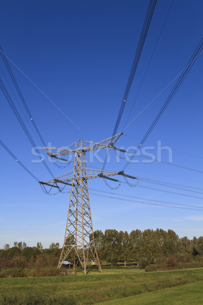 Eletricidade blue sky perspectiva profundo em pé verde Foto stock © duoduo