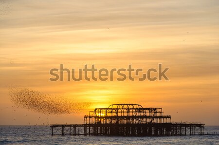 西 桟橋 日没 水 建物 太陽 ストックフォト © dutourdumonde