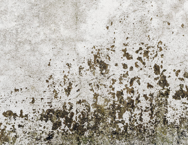 Old grungy wall texture Stock photo © dutourdumonde
