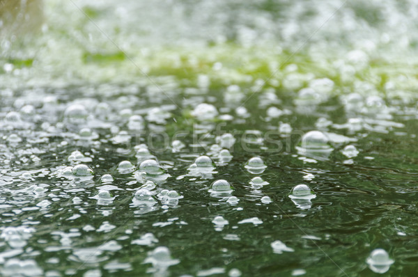 Blasen Wasseroberfläche grünen Regen See Fluss Stock foto © dutourdumonde