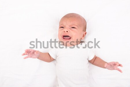 Recém-nascido bebê branco folha sul Foto stock © dutourdumonde