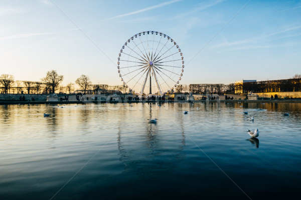 Ferris wheel in Paris, France Stock photo © dutourdumonde