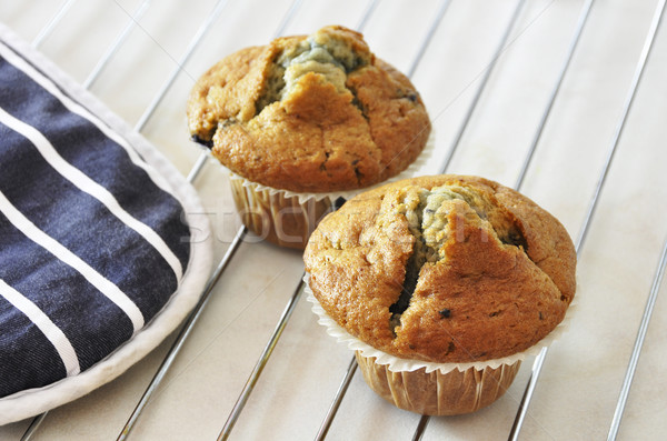 Two blueberry muffins Stock photo © dutourdumonde