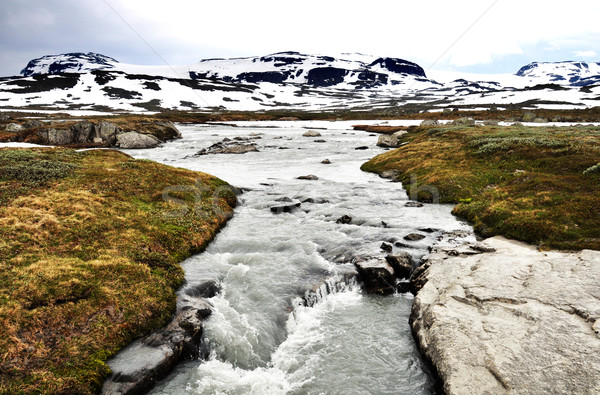 A torrent in Norway Stock photo © dutourdumonde