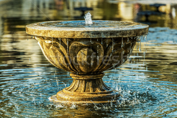 Vieux pierre fontaine étang printemps jardin Photo stock © dutourdumonde