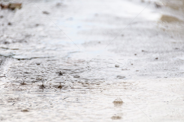 Rain Stock photo © dutourdumonde