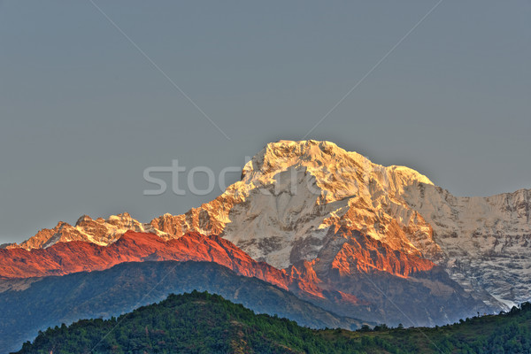 Foto d'archivio: Meridionale · Nepal · hdr · luce · bellezza · sunrise