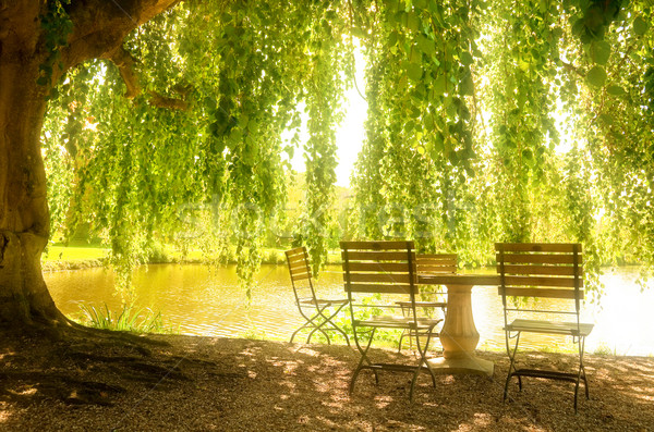 Stone table and chairs next to a pond Stock photo © dutourdumonde