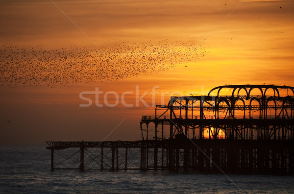 Flock of starlings over the West Pier in Brighton at sunset Stock photo © dutourdumonde