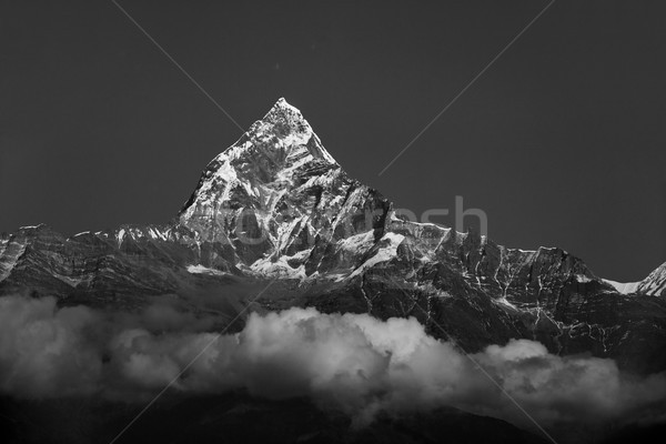 Nepal negru alb fotografie natură peisaj zăpadă Imagine de stoc © dutourdumonde