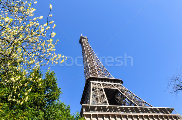 Tour Eiffel Paris France printemps bâtiment ville [[stock_photo]] © dutourdumonde