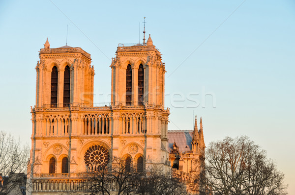Notre-Dame de Paris cathedral at sunset Stock photo © dutourdumonde
