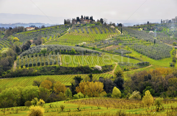 Toscane paysage typique printemps Italie maison [[stock_photo]] © dutourdumonde