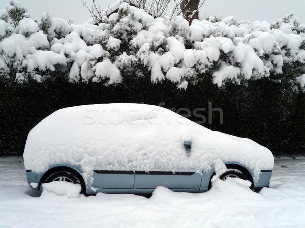 A car stuck in the snow Stock photo © dutourdumonde