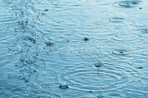 Regendruppels plas concentrisch cirkels wateroppervlak Stockfoto © dutourdumonde