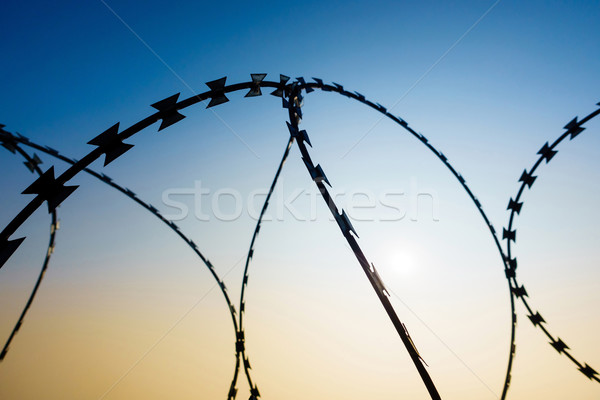 Razor wire Stock photo © dutourdumonde