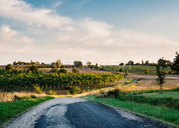 France film coucher du soleil nature paysage [[stock_photo]] © dutourdumonde