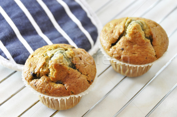 Two blueberry muffins Stock photo © dutourdumonde