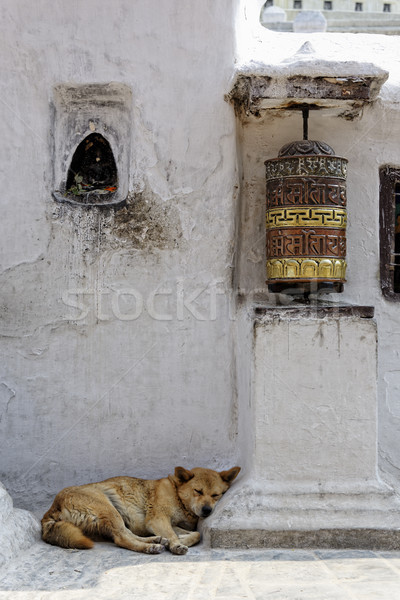 Prayer wheel and dog sleeping at Bothnath stupa in Kathmandu Stock photo © dutourdumonde