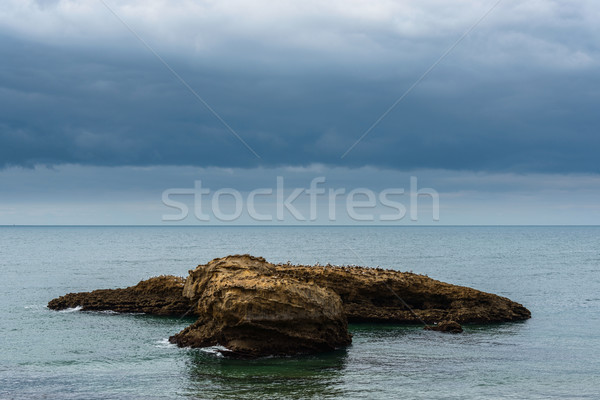 Stormy weather on sea landscape Stock photo © dutourdumonde