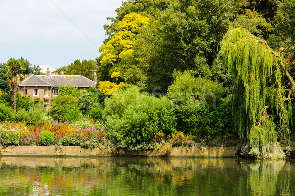 Foto d'archivio: Fiume · thames · shore · Inghilterra · albero · primavera