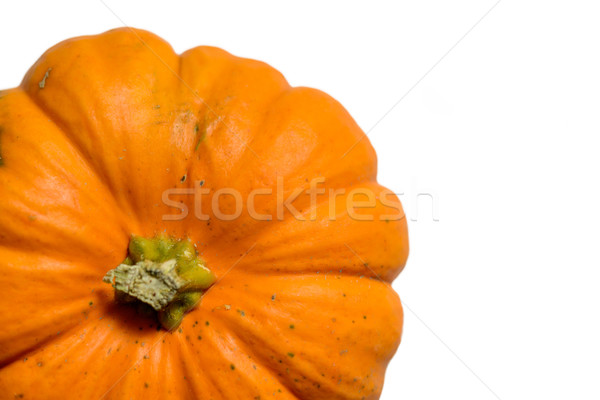 Citrouille blanche fond cuisson automne régime alimentaire [[stock_photo]] © dutourdumonde