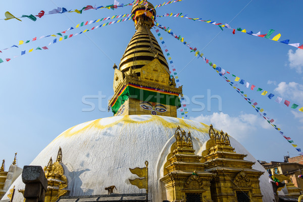 Nepal 2015 budynku oczy świat banderą Zdjęcia stock © dutourdumonde