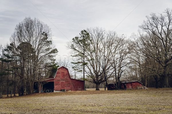 Stockfoto: Oude · amerikaanse · hemel · gras · winter · Rood