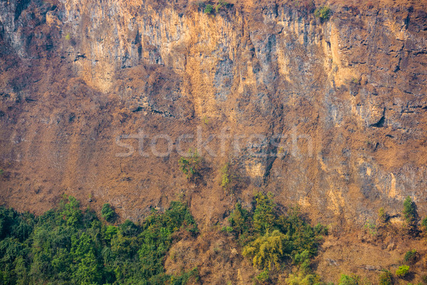 細節 懸崖 樹 岩 石 岩 商業照片 © dutourdumonde
