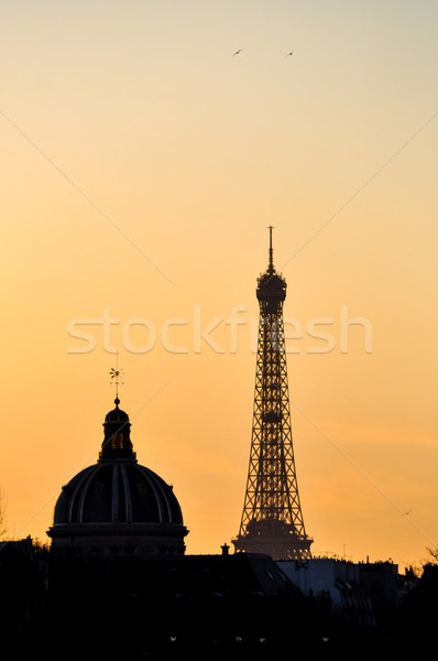 The Eiffel Tower and the French Institute at sunset Stock photo © dutourdumonde