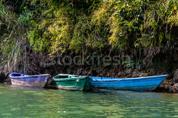 Colorful barques  Stock photo © dutourdumonde