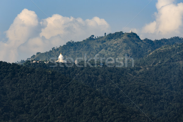 Mundo paz pagode floresta paisagem árvores Foto stock © dutourdumonde