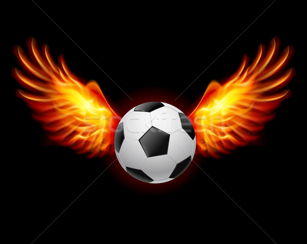 Football-Fiery wings Stock photo © dvarg
