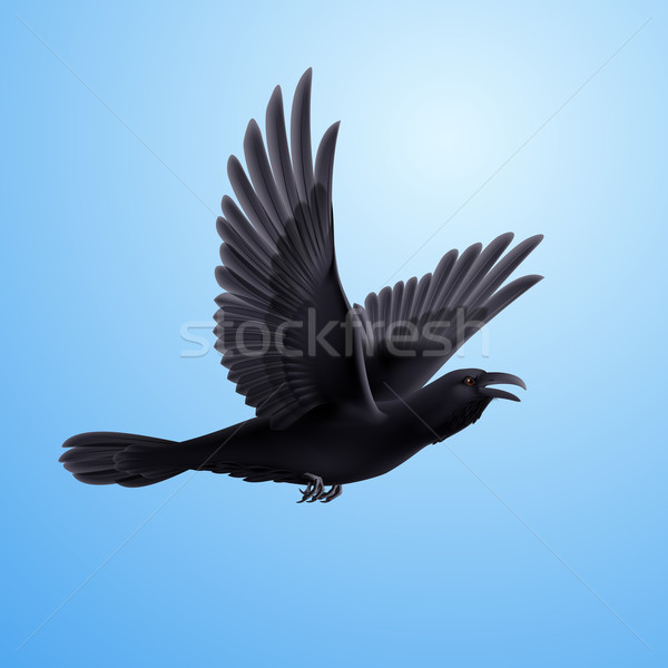Czarny kruk niebieski ilustracja pływające Błękitne niebo Zdjęcia stock © dvarg