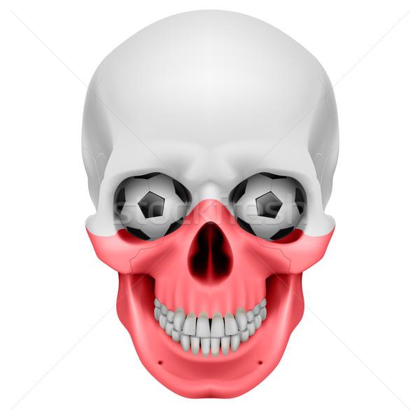 Human Skull Stock photo © dvarg
