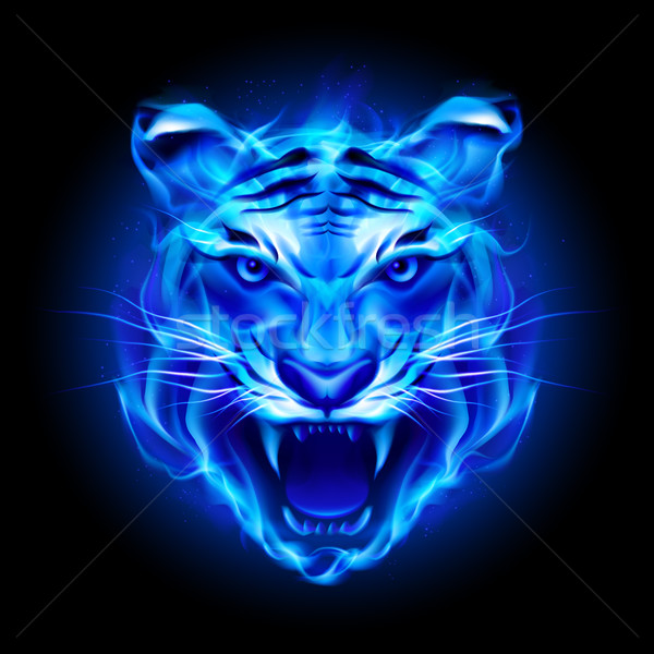 Head of fire tiger Stock photo © dvarg